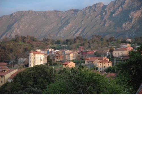 Casa David
