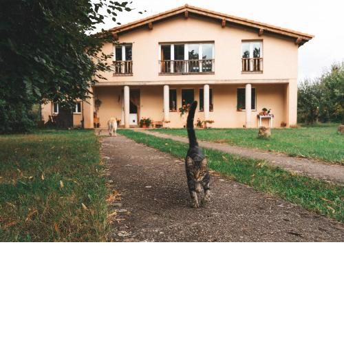 Casa de campo La Solana
