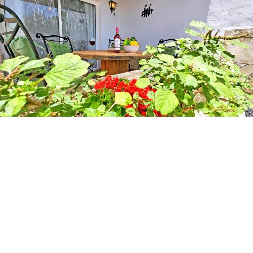 CASA DE DOS GATOS, Caleta, Pool, GlasfaserInternet