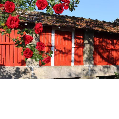 Casa de la Tita