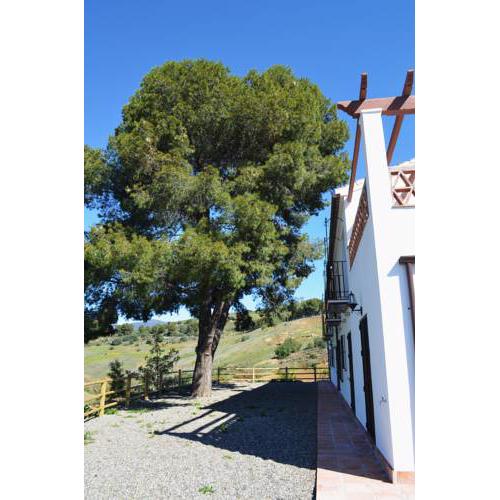 Casa de las Cañas / Castellanos