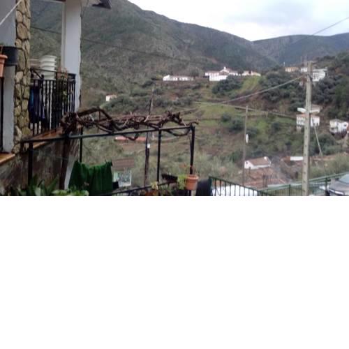 Casa del Ratón y La Rana