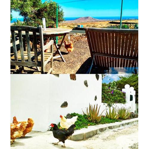 Casa Dora