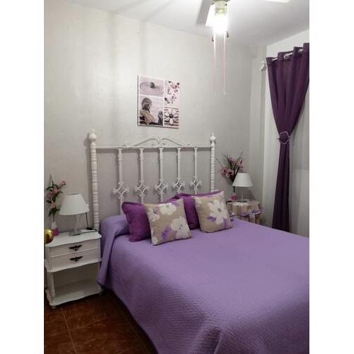 Casa Fenix
