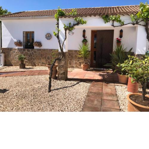 Casa La Alegria 37