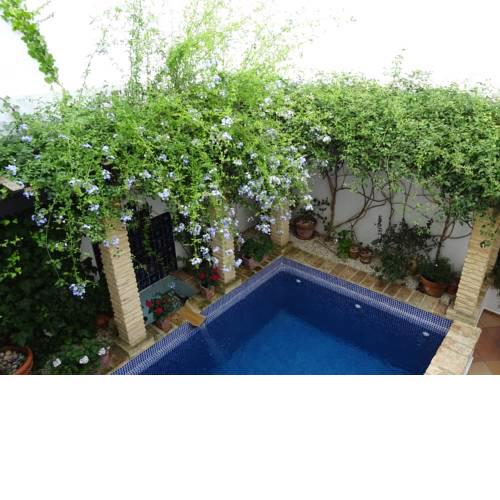 Casa la Loba