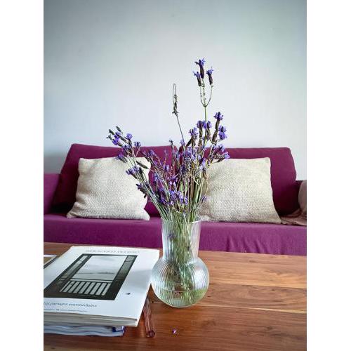 Casa La Pirata- Apartamento en Rodalquilar