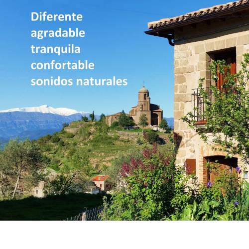 Casa Larriero de Olsón