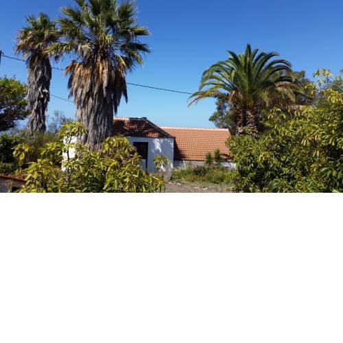 Casa las tres Palmeras
