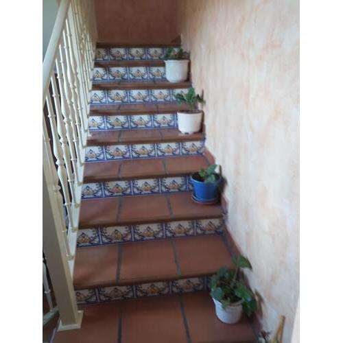 Casa laurel 1