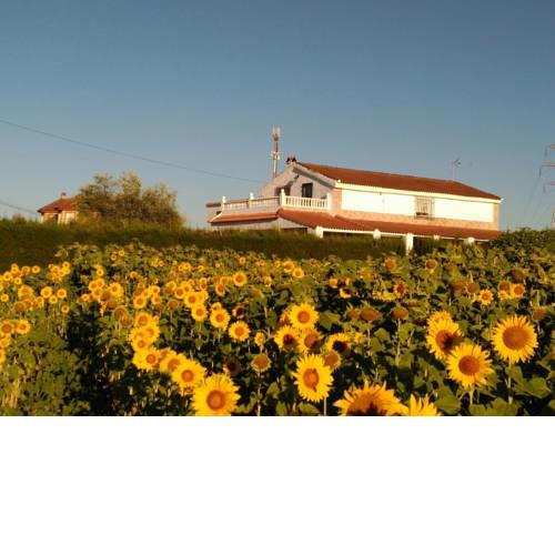 Casa los Girasoles