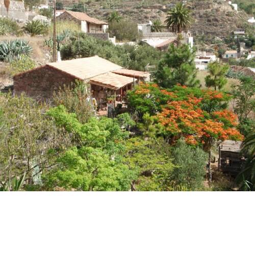 Casa Los Pinos
