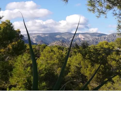 Casa NATURA
