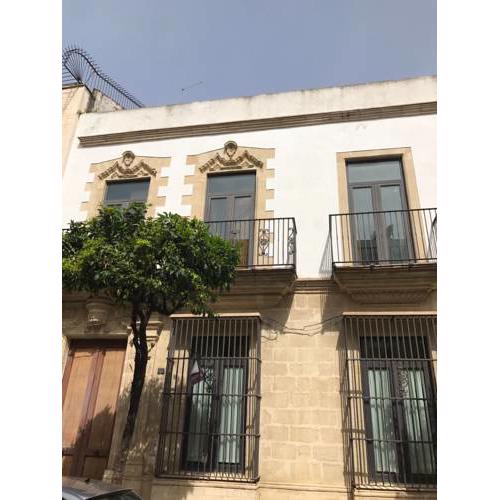 Casa Palaciega con jardín