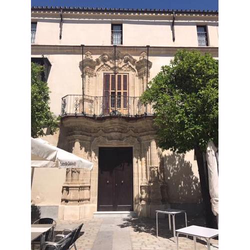 CASA PALACIO en Jerez de la Frontera con piscina privada
