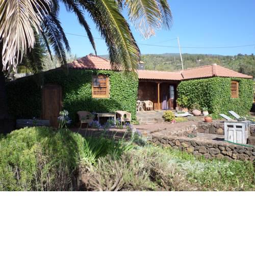 Casa Palmera