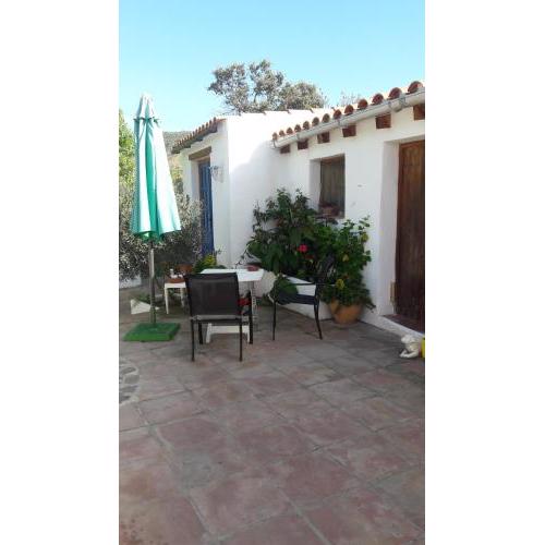 casa patricia