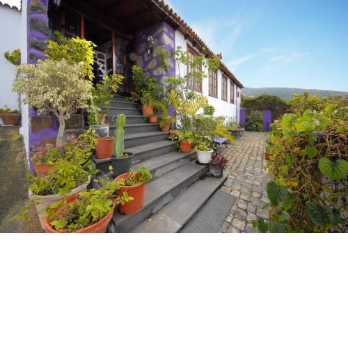 Casa Pedro