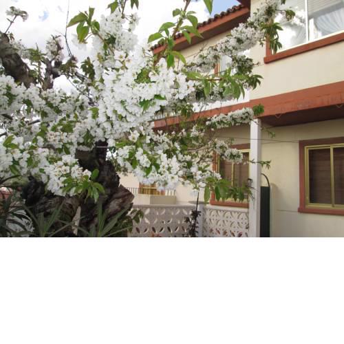 Casa Pipo Y Ceci