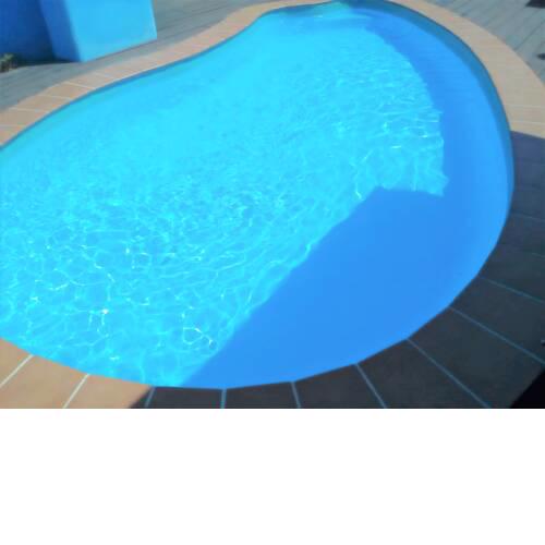 Casa Polly