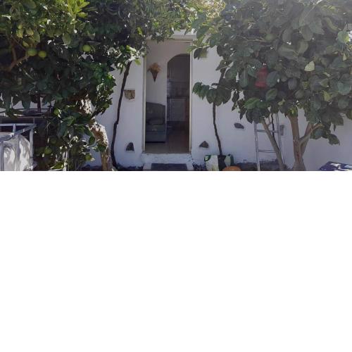 Casa rodeada de naturaleza en La Gomera