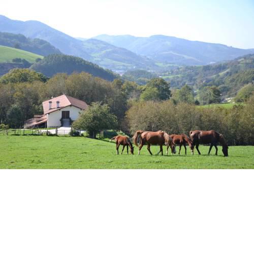 CASA RURAL Arriaran