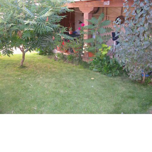 Casa Rural Arturo I