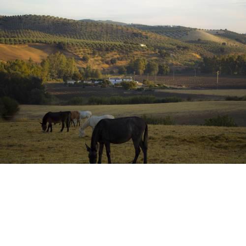 Casa Rural Asiento del Río