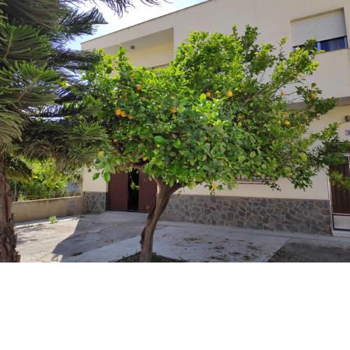 Casa rural completa el limonero en Berja Almeria