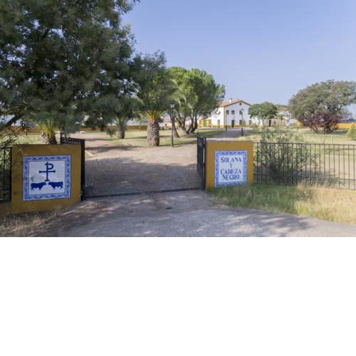 Casa Rural Dehesa de Solana