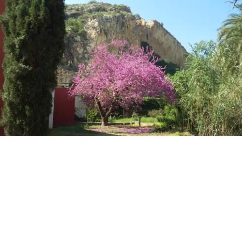Casa Rural el Amparo