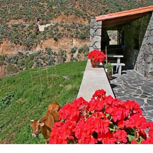 Casa rural El Coronel