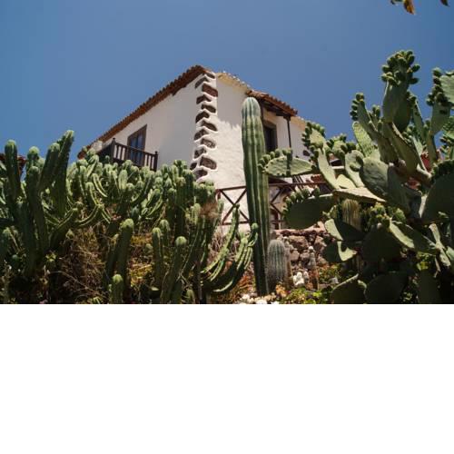 Casa Rural EL Olivar - La Almazara