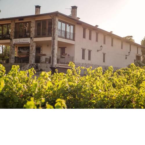 Casa Rural en Bodega. La posada de Vitis