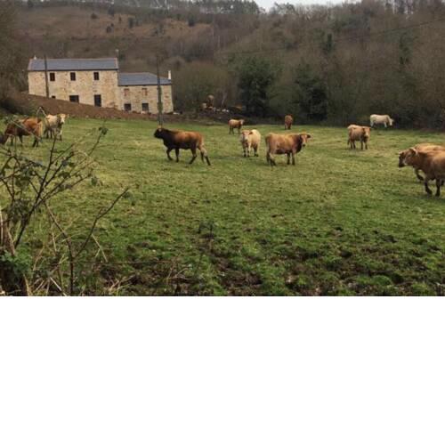 Casa Rural en Lugo. En medio de la Naturaleza.