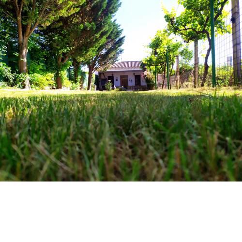 Casa Rural Huerto Lahiguera