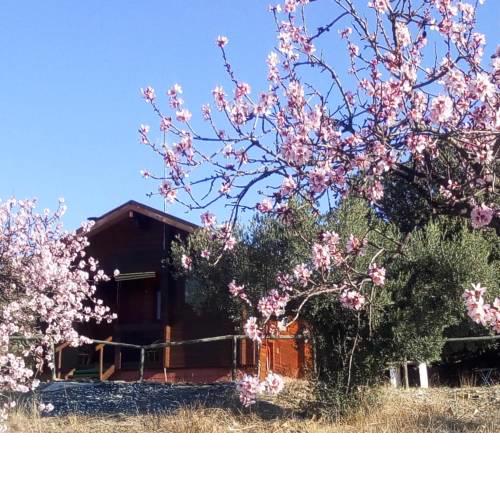Casa Rural La colina mandarina