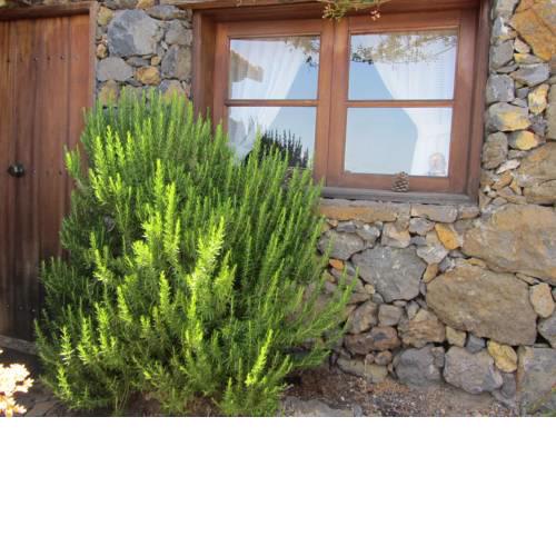 Casa rural La Jarita