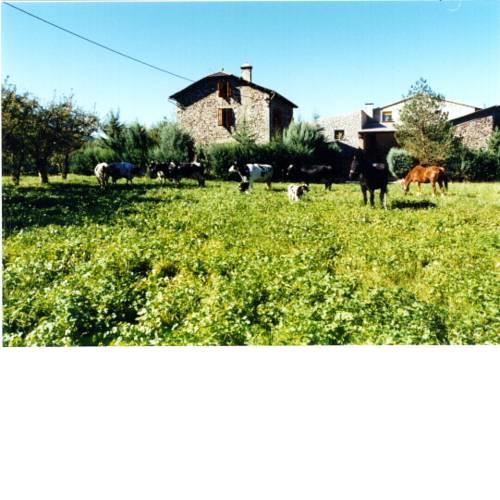 Casa Rural La Vall del Cadi