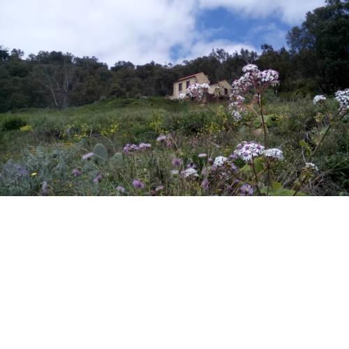 Casa Rural Las Caldereras