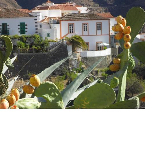 Casa Rural las Cáscaras