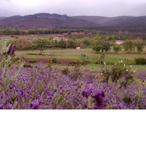 Casa rural Las Lucias