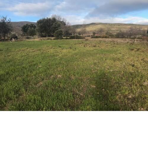 Casa Rural Los Robles