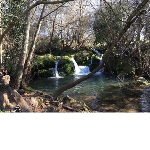 Casa Rural Nacimiento del Huéznar - Tomillo 23