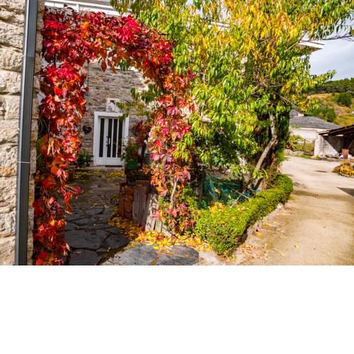 Casa rural quiroga