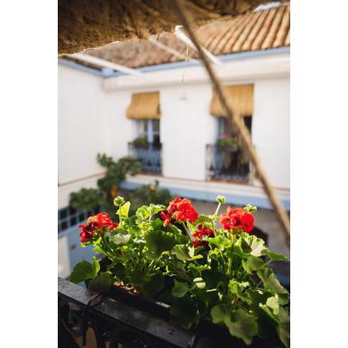 CASA SIRFANTAS
