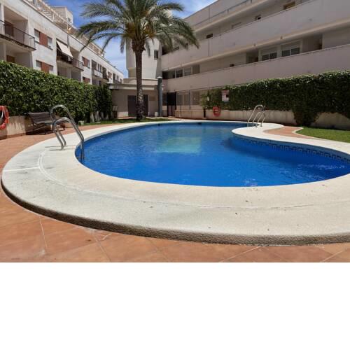 Casa Soul Palm