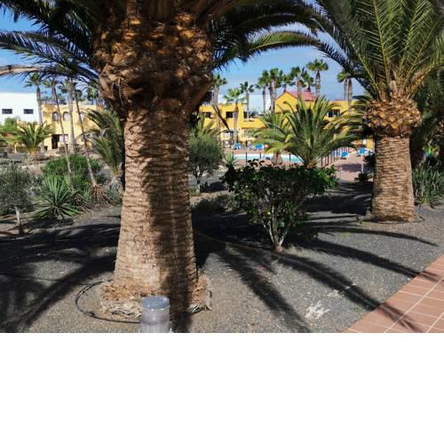 casa Sun&Sand Corralejo