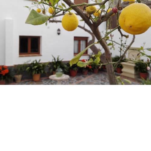 Casa Vega