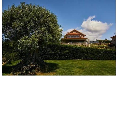 Casa Zulema